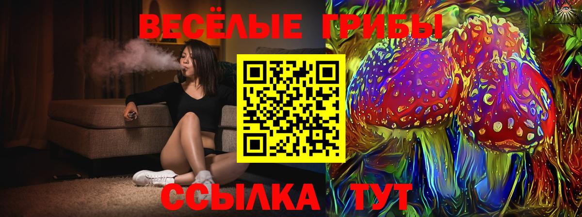 Псилоцибиновые грибы мухоморы Кунгур