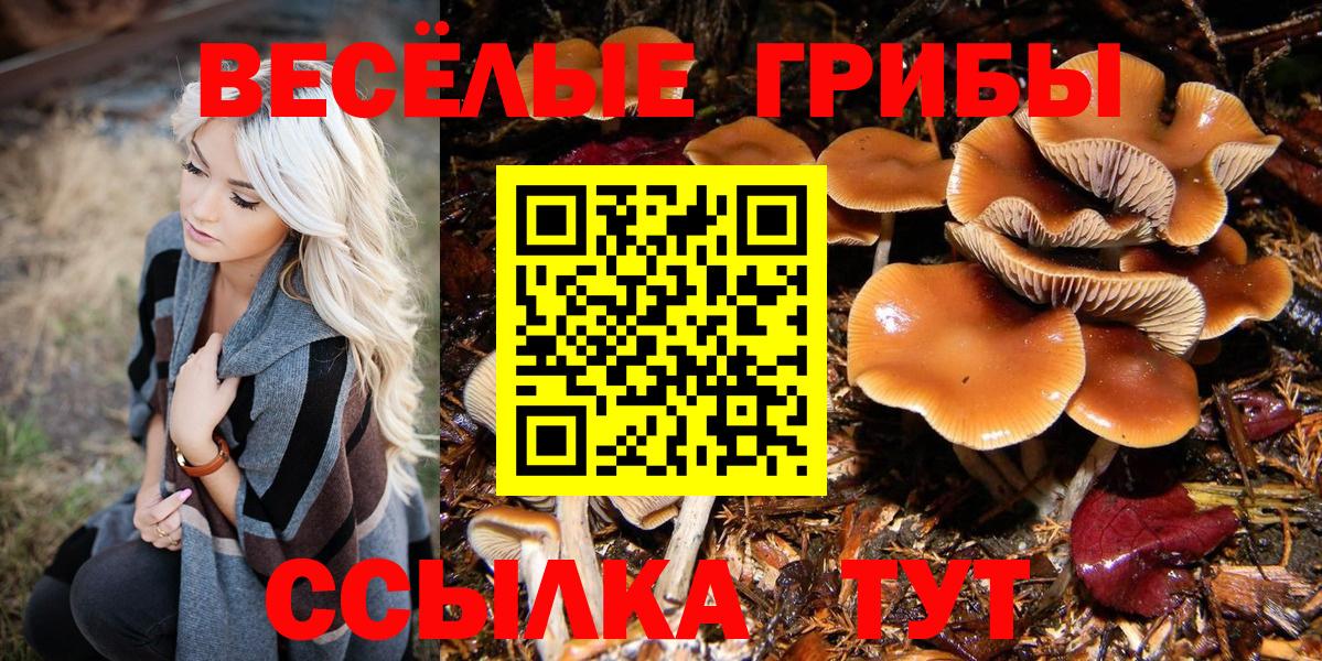 Галлюциногенные грибы Magic Shrooms  Вход с VPN  Кунгур  Псилоцибиновые грибы ЛСД 